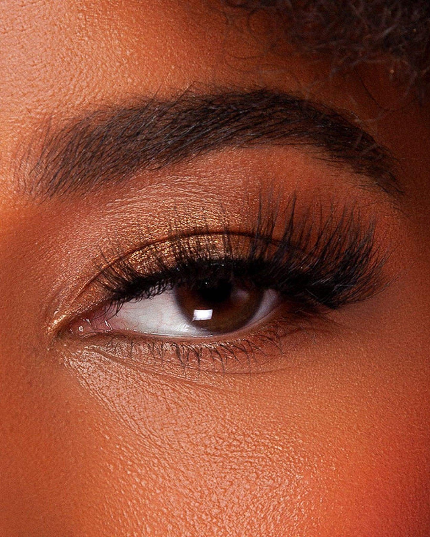 Trance Lash - KASH Beauty