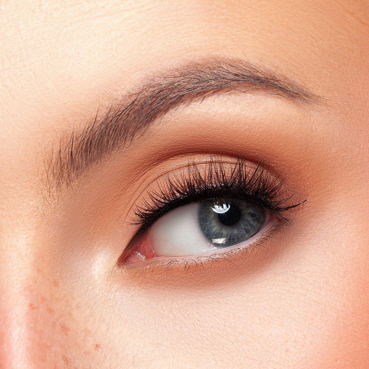 Whisper lash - KASH Beauty