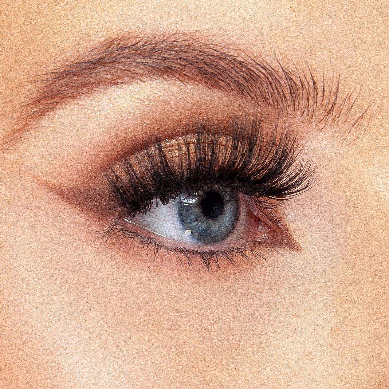 Enchant Lash - KASH Beauty