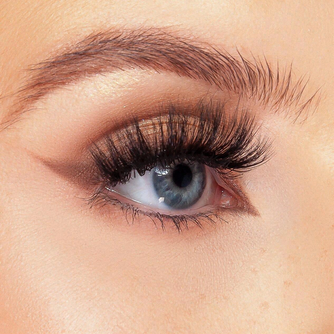 Enchant Lash - KASH Beauty