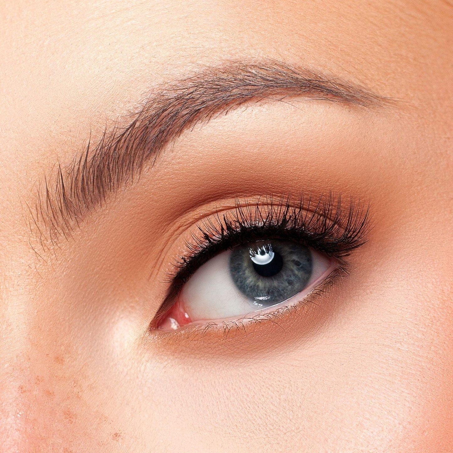 Grace Lash - KASH Beauty