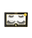 Duo Lash