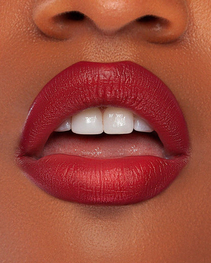 Lip Oil and Lip Liner - KASH Beauty