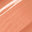 Envy Lip Gloss