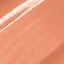 Envy Lip Gloss