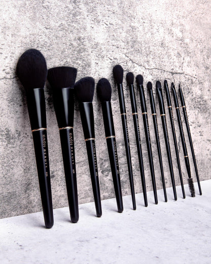 Twelve Piece Brush Set - KASH Beauty