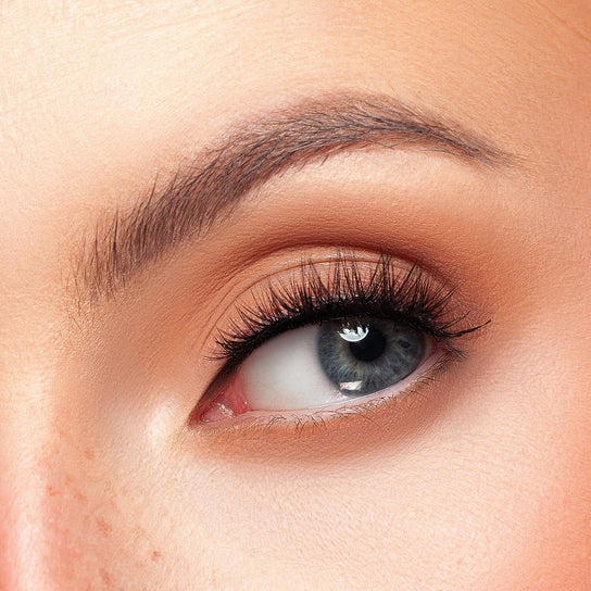 Whisper lash - KASH Beauty