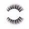 Duo Lash - KASH Beauty