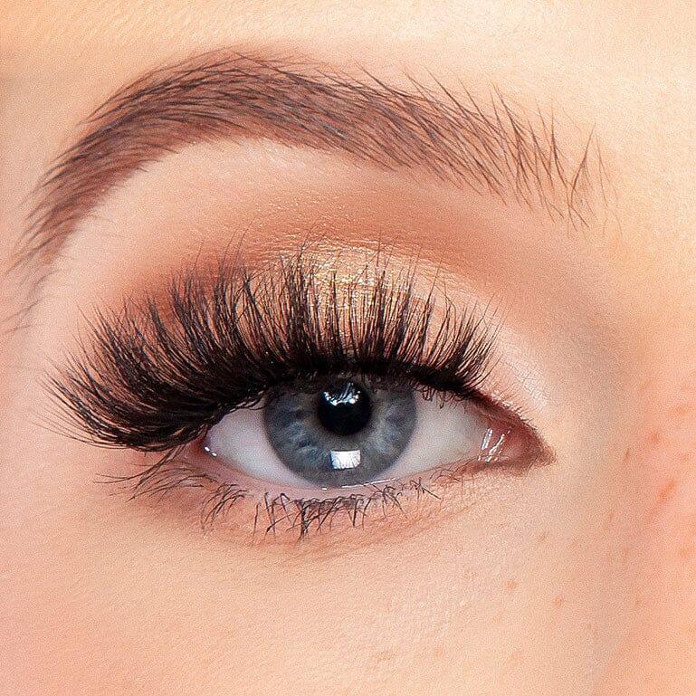 Enchant Lash - KASH Beauty